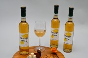 충청북도 샤인머스켓을 이용한 오렌지 와인 특허 출원