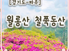 축제 韓流] 4월 20일 ‘제3회 파주 월롱산 철쭉제’- 꽃 내음 가득한 월롱산 철쭉동산으로 가는 봄 나들이!