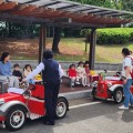 과천시, 어린이 교통안전 문화 확산
